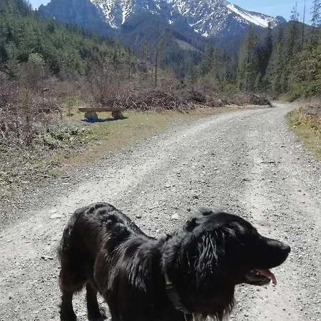 홈스테이 U Babicky Ždiar