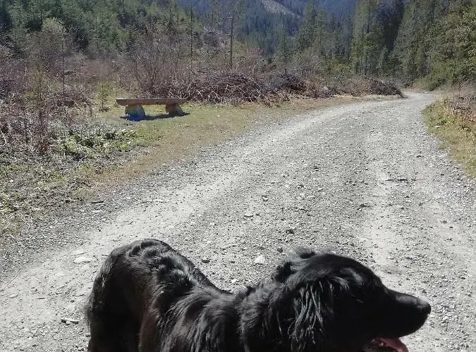 Quarto em Acomodações Particulares Privát U Babičky Ždiar